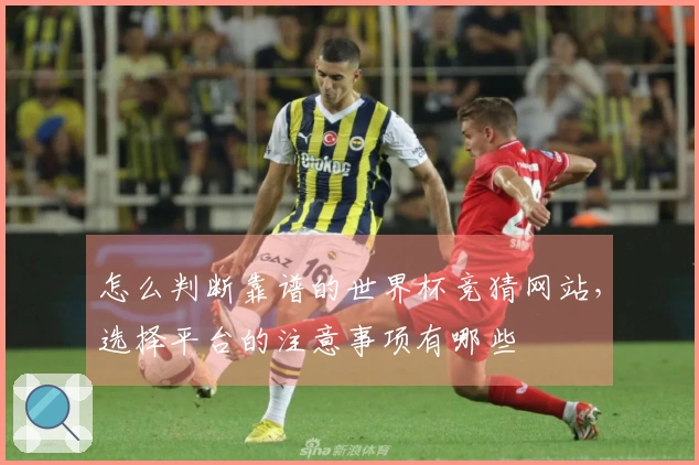 怎么判断靠谱的世界杯竞猜网站，选择平台的注意事项有哪些