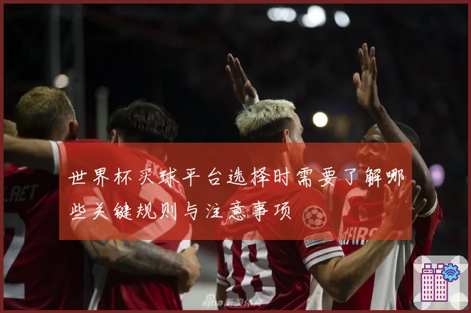 世界杯买球平台选择时需要了解哪些关键规则与注意事项