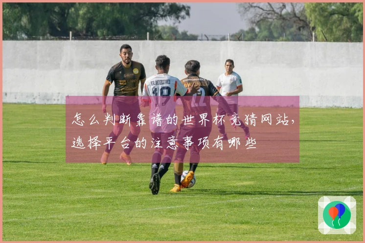 怎么判断靠谱的世界杯竞猜网站，选择平台的注意事项有哪些