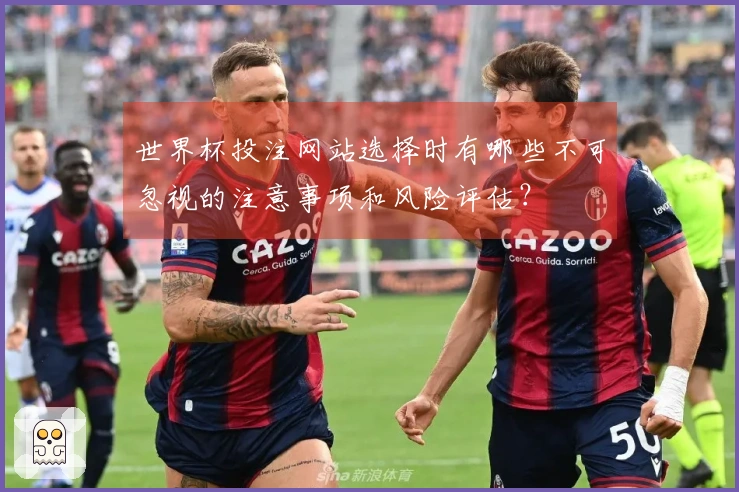 世界杯投注网站选择时有哪些不可忽视的注意事项和风险评估？