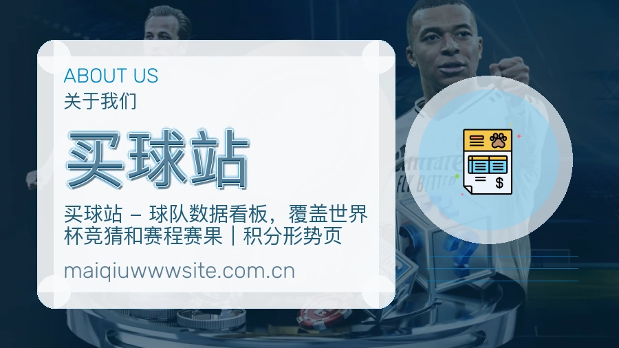 买球站关于我们与客服支持展示图